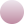 Twilight Rose